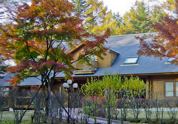 outside of tozai hotel with trees