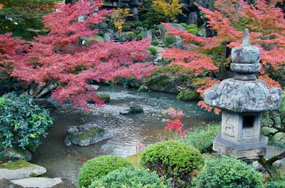 Tozai Hotel landscape