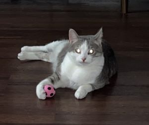 wocky with her soccer ball