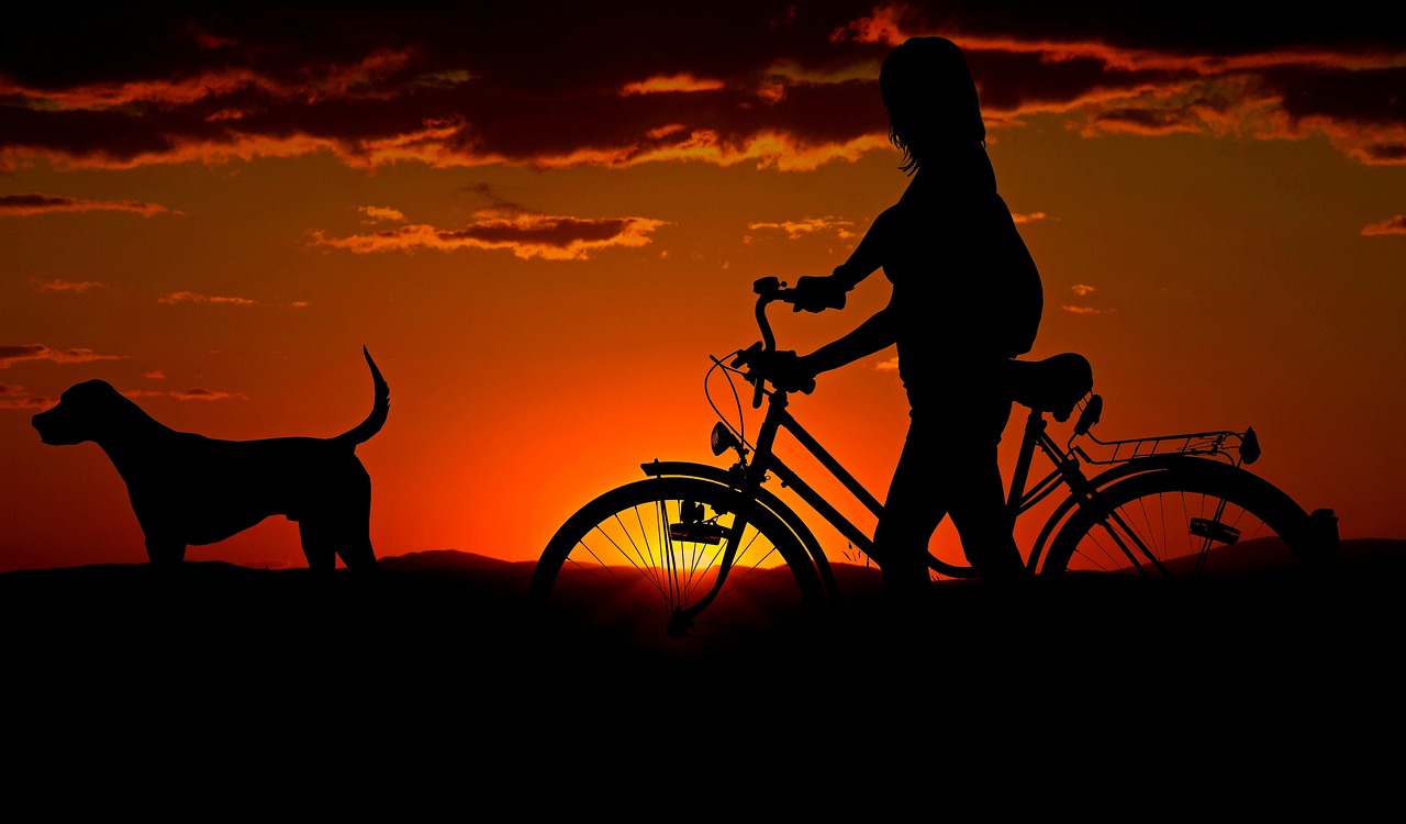 women with dog riding bike in sunset