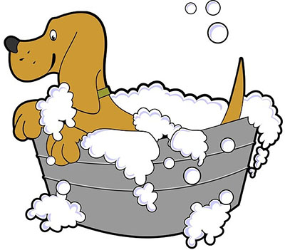 dog in a bath